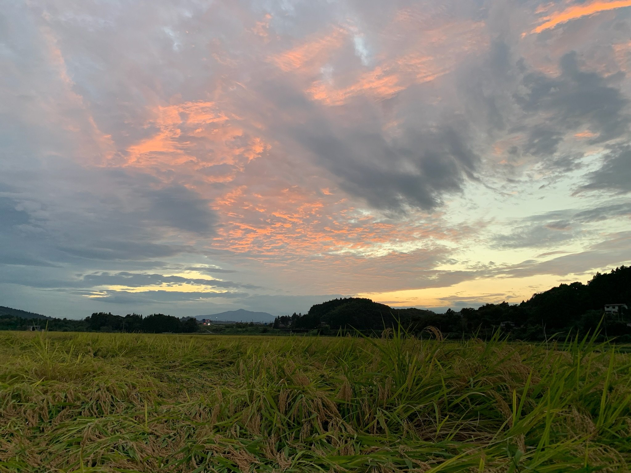 夕暮れの田畑と山並み