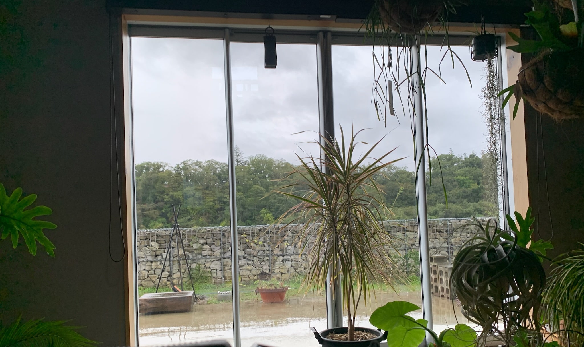 植物のある室内から窓越しに見えるガビオンと緑